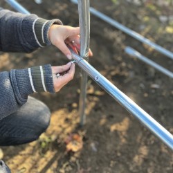 Solar grădină profesional Cortis© 3x8 m + Cadou Ață palisare și 250 clipsuri-9
