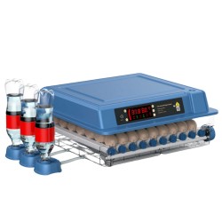 Incubator ouă profesional automat smart Rico, 64 ouă-3