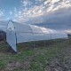 Solar profesional pentru agricultură Cultoplant 4x18 m