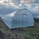 Solar profesional pentru agricultură Cultoplant 4x22 m