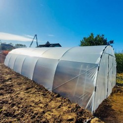 Solar profesional pentru agricultură Cultoplant Transparentă 4 x 24 m 2,8 m Țeavă zincată galvanizată 96 mp Peritată E8 Profesional