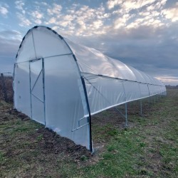 Solar profesional pentru agricultură Cultoplant Transparentă 4 x 26 m 2,8 m Țeavă zincată galvanizată 104 mp Peritată E8 Profesional