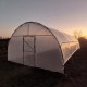 Solar profesional pentru agricultură Cultoplant 4x28 m