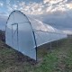 Solar profesional pentru agricultură Cultoplant 4x40 m