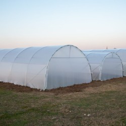 Solar profesional pentru agricultură Cultoplant 4x40 m-2