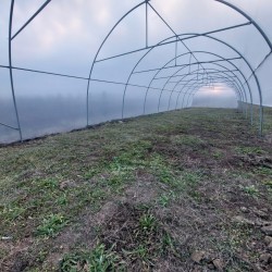 Solar profesional pentru agricultură Cultoplant Transparentă 5 x 24 m 2,8 m Țeavă zincată galvanizată 120 mp Peritată E8 Profesional