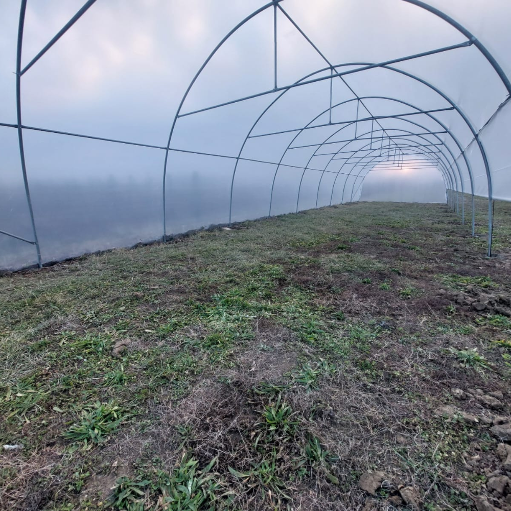Solar profesional pentru agricultură Cultoplant 5x24 m