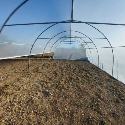 Solar profesional pentru agricultură Cultoplant Transparentă 5 x 28 m 2,8 m Țeavă zincată galvanizată 140 mp Peritată E8 Profesional
