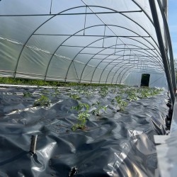 Solar profesional pentru agricultură Cultoplant 6x12 m-2