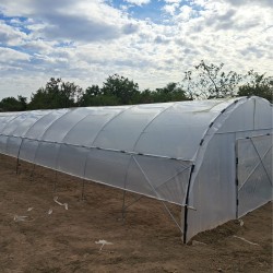 Solar profesional pentru agricultură Cultoplant 6x14 m-1
