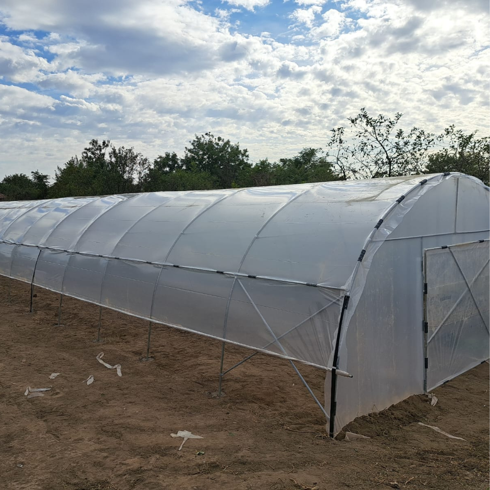 Solar profesional pentru agricultură Cultoplant 6x14 m