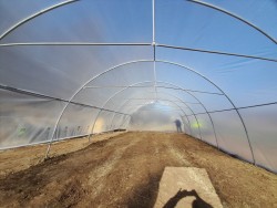Solar profesional pentru agricultură Cultoplant 6x40 m-2