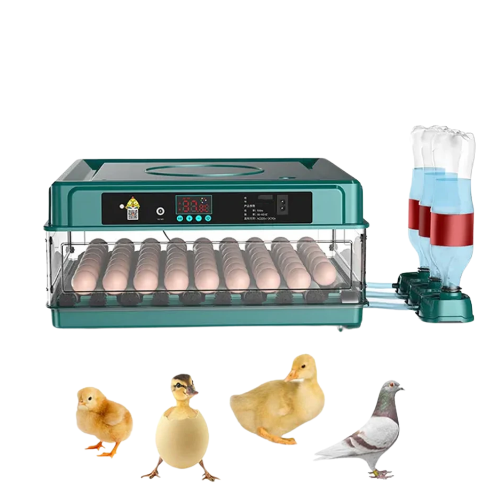 Incubator ouă automat profesional smart Rico, 70 ouă