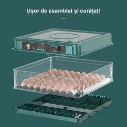Incubator ouă automat profesional smart Rico, 70 ouă-2