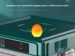 Incubator ouă automat profesional smart Rico, 70 ouă-3