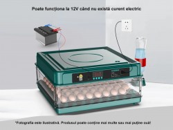 Incubator ouă automat profesional smart Rico, 70 ouă-5