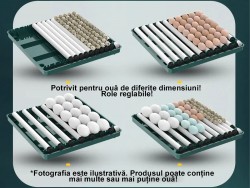 Incubator ouă automat profesional smart Rico, 70 ouă-6