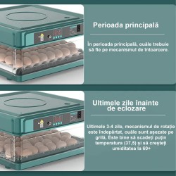 Incubator ouă automat profesional smart Rico, 70 ouă-7