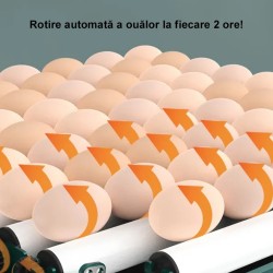 Incubator ouă automat profesional smart Rico, 70 ouă-8