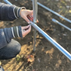Solar grădină profesional Cortis© 3x12 m + Cadou Ață palisare și 250 clipsuri-6