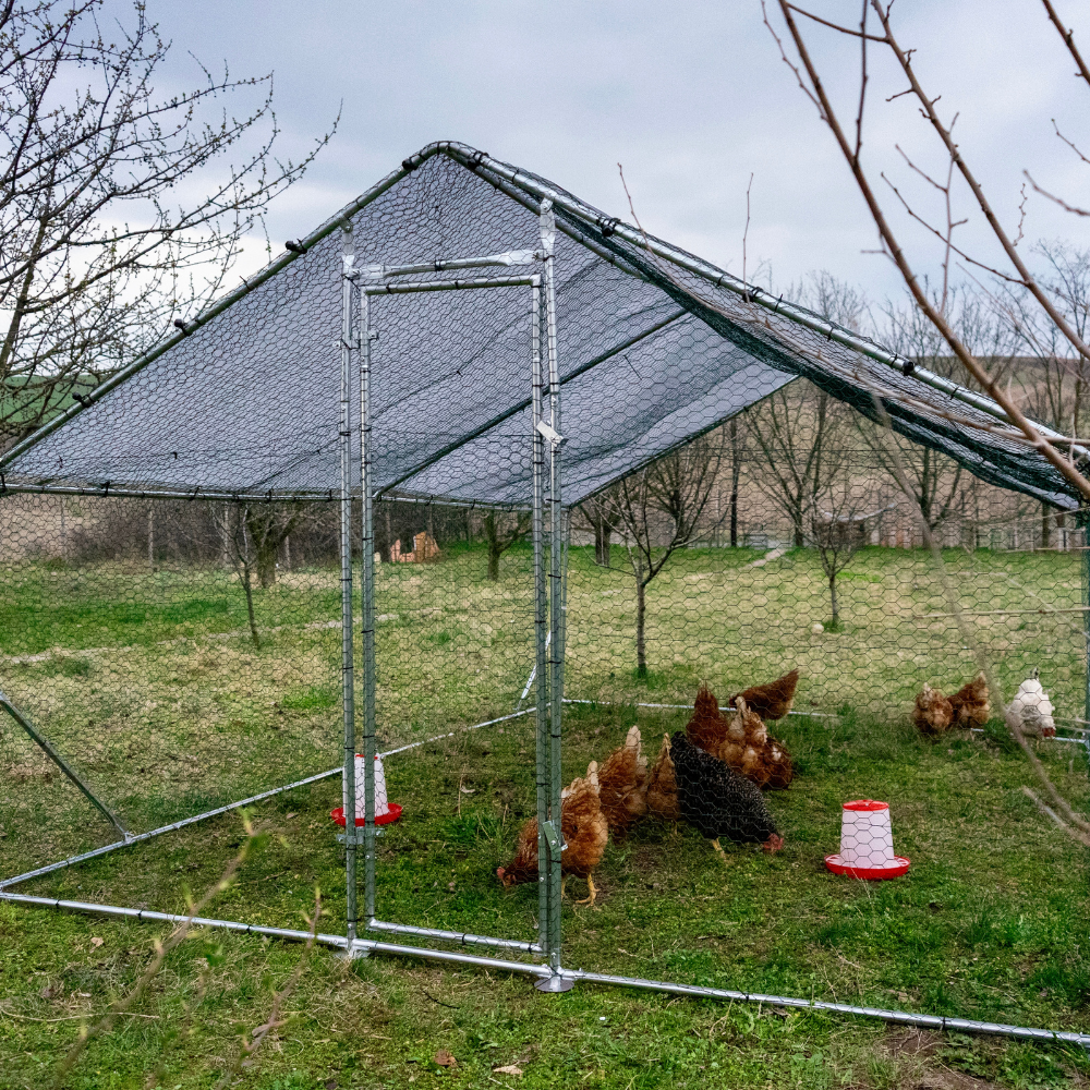 Țarc (coteț) găini Rico 3x2 m din oțel și plasă rabitz, 37 kg