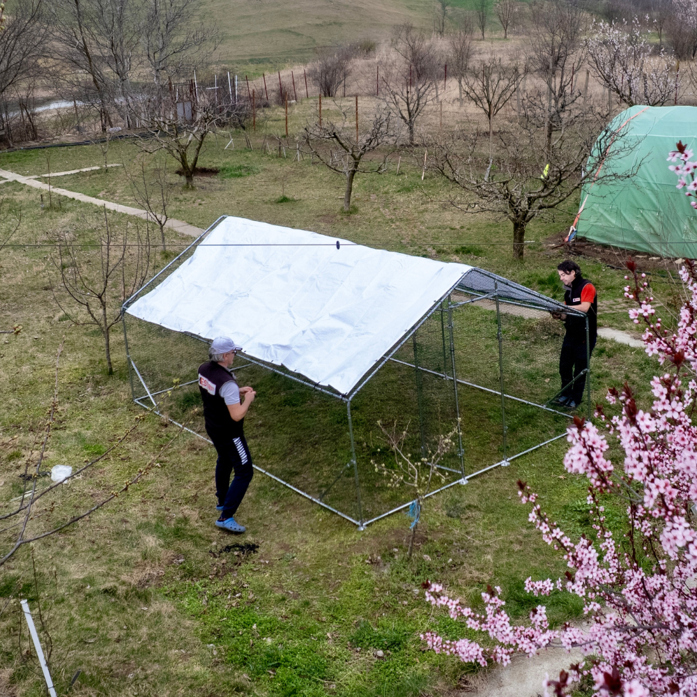 Țarc (coteț) găini Rico 3x4,5 m din oțel și plasă rabitz, 55,5 kg