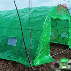Solar profesional grădină Cortis©  Verde 40 mp 4 x 10 m 2,3 m Polietilenă armată Profesional