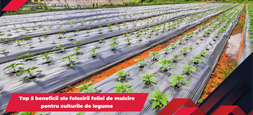 articol-blog-folie-mulcire