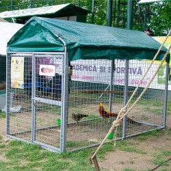 Padoc câini Grivei 1,22x1,22 m, oțel galvanizat, acoperit complet-3