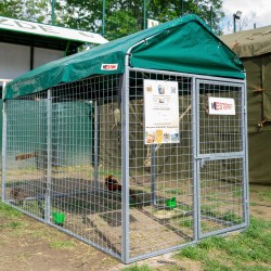 Padoc câini Grivei 1,22x1,22 m, oțel galvanizat, acoperit complet-4