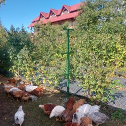 Plasă gard sârmă împletită oțel zincat plastificat Agata 2,5 mm, ochi 50 mm, 15 m-5