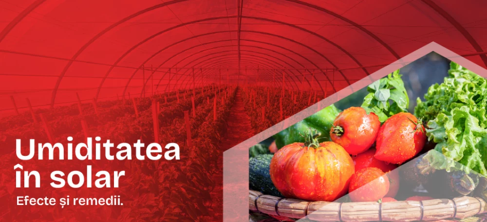 Umiditate solar