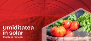 Umiditate solar