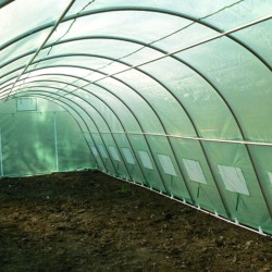 Solar de grădină Cortis 6x14 m-5