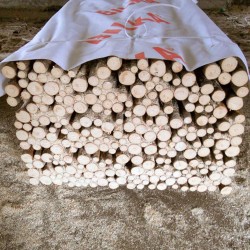 Araci lemn în coajă pentru legume 2 - 5 cm x 2 - 2,2 m-2