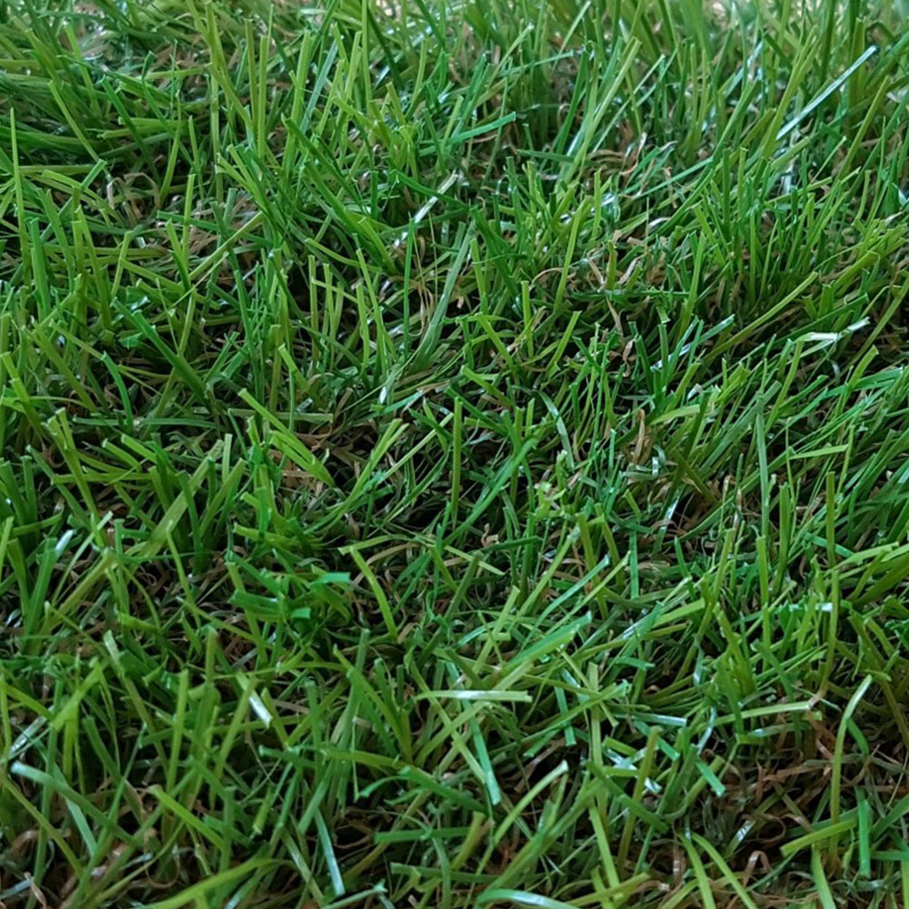 Gazon artificial Zalias 2 x 10 m x 30 mm verde